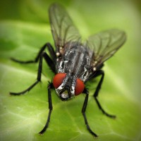 /album/uni%c3%a3o-doce-pastelaria/photolia-a01-jpg/