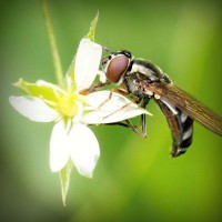 /album/uni%c3%a3o-doce-pastelaria/photolia-a02-jpg/