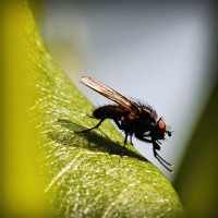 /album/uni%c3%a3o-doce-pastelaria/photolia-a04-jpg/