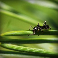 /album/uni%c3%a3o-doce-pastelaria/photolia-a05-jpg/