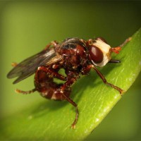 /album/uni%c3%a3o-doce-pastelaria/photolia-a06-jpg/