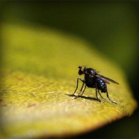 /album/uni%c3%a3o-doce-pastelaria/photolia-a07-jpg/