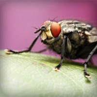 /album/uni%c3%a3o-doce-pastelaria/photolia-a08-jpg/